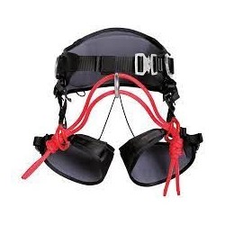 ARNES ARBOR, MASTER  SINGING ROCK