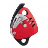 MAESTRO  L PETZL