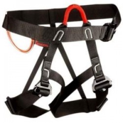 Jammy Tendon/Singing Rock Jammy