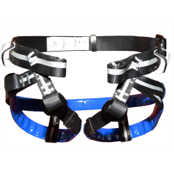 Arnes Amazonia, Mtde